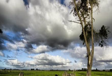 热火胜步行者赢下命中率大战 开拓者破篮网取四连胜.