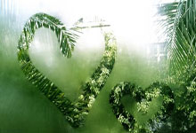 [图]范弗里特37分维金斯30分 火箭险胜热火取九连胜.