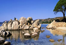 热火胜步行者赢下命中率大战 开拓者破篮网取四连胜.